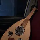 عود مصري نظيف