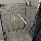 قفص بغبغاء كبير