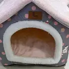 قطه بجميع ملحقاتها