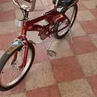 للبيع رامبو عنابي اصلي