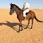 فرس