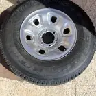 جنوط فتك اصلية