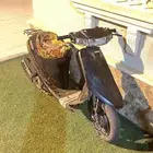 دباب