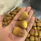 تمور العقيلات