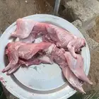 ارانب للذبح حسب الطلب