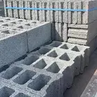 دينا رمل وبلك