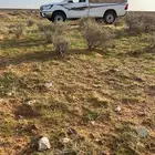 توصيل حلال من الرياض إلى القصيم والحدود الشمالية عامة