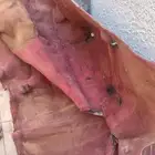 قزاز فصال