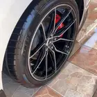 جنوط موستنق للبيع