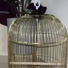 قفص عصافير