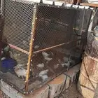 شبك