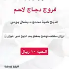 فروج دجاج لاحم