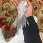 كروان (( تم البيع )) VIP