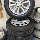 جنوط التيما