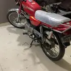 دباب زوكي للبيع