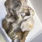 حجر سيراميك منحوت فتحات لتزيين حوض السمك