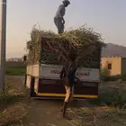 دينا محايل عسير