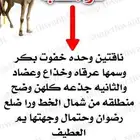 ذهيب نياق 2 وحده جذعه وحده ثنيه