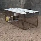 شبك دجاج  مصيده