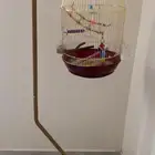 كروان اليف 3 اقفاص