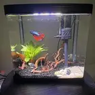 حوض سمك فايتر بيتا