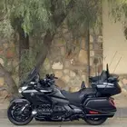 قولد وينق مديل 2021