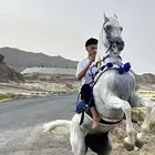 حصان واهو