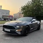 موستنج 2020 كشف