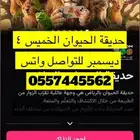 حديقة الحيوان الخميس 4 ديسمبر