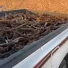 للبيع صندوق غماره ا . ر . ط  ى