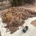 تمر للحلال الكميه يمكن شحنه شاص الموقع الاسياح خصيبه حد 200
