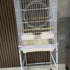 قفص ببغاء للبيع نظيف جدا
