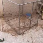 شبك