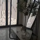 طيور باجي ذكر وانثى مع مستلزماتهم بالوصف
