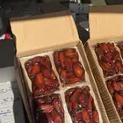 تمر صفري حبه كبيره االكميه محدوده