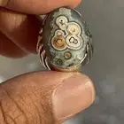 خاتم بحجر داوودي او عين الذيب يمني