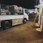 دينا دنه نقل