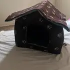 مستلزمات قطط للبيع
