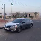 التيماء 2013