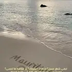 مكتب السياحة