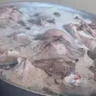 نطبخ بكل حب