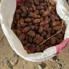 صفري في اكياس للبيع