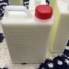 لبن غنم مبستر طازج
