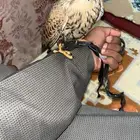 شبوط ضايع مني فيه سبوق الي يمسكه يتواصل معي