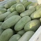 حبحب جمله صندوق هايلكس غمارتين - حفار