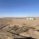 مزرعة شمال بريدة بكبد 80 كيلو صكين والمطلوب 250 الف