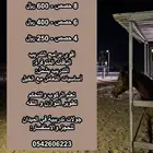 تدريب ركوب الخيل
