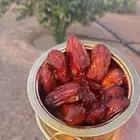 تمر صفري بيشة