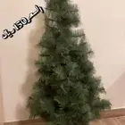 شجر صناعي الموقع القصيم. عنيزه