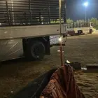 دينه دنه دينا لنقل العفش والتوصيل